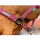 Horseware Amigo halsterset